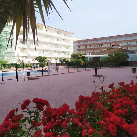 Alegre Apto Con Piscina, A 300M De La Playa. Blanes Exterior photo
