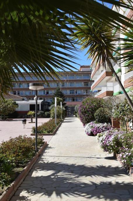 Apartment Alegre Apto Con Piscina, A 300m De La Playa.