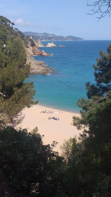 Alegre Apto Con Piscina, A 300m De La Playa. Blanes