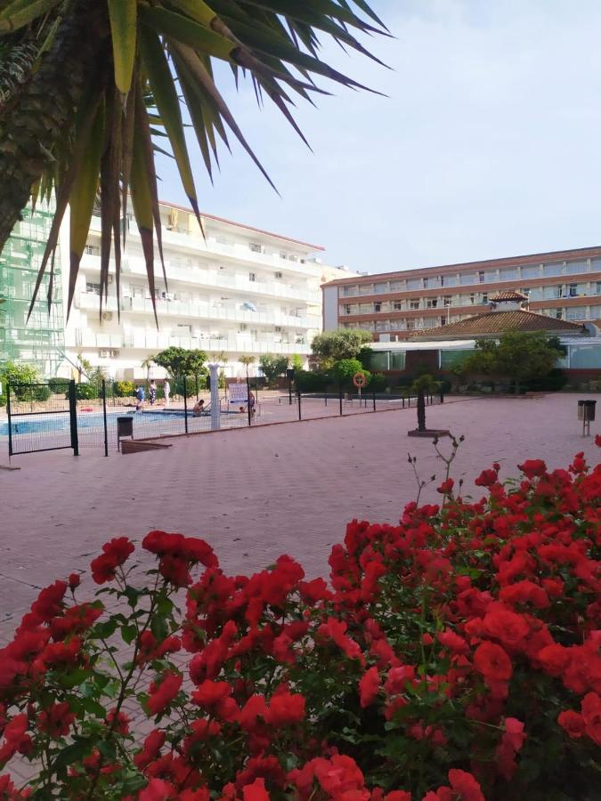 Alegre Apto Con Piscina, A 300m De La Playa. Apartment *